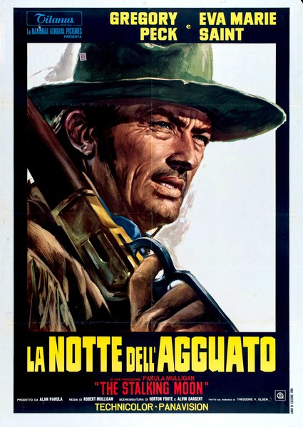 La notte dell'agguato