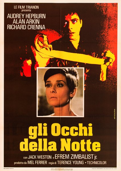 Gli occhi della notte