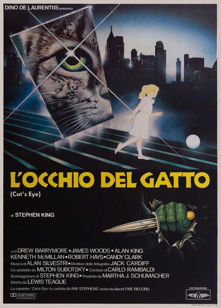 L'occhio del gatto