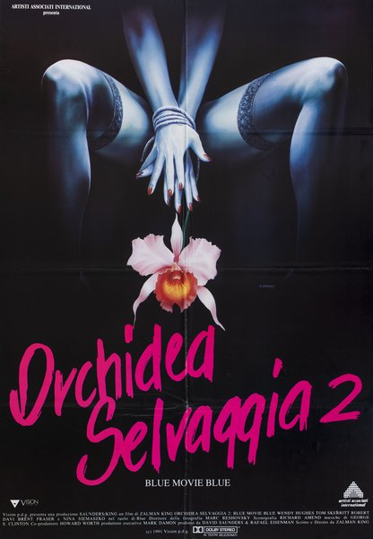 Orchidea selvaggia 2