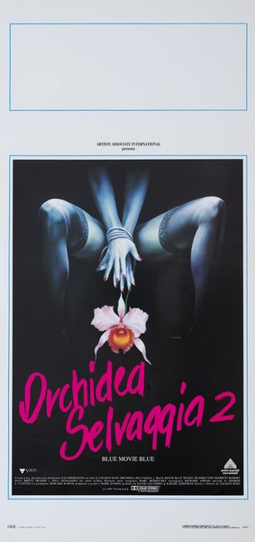 Orchidea selvaggia 2