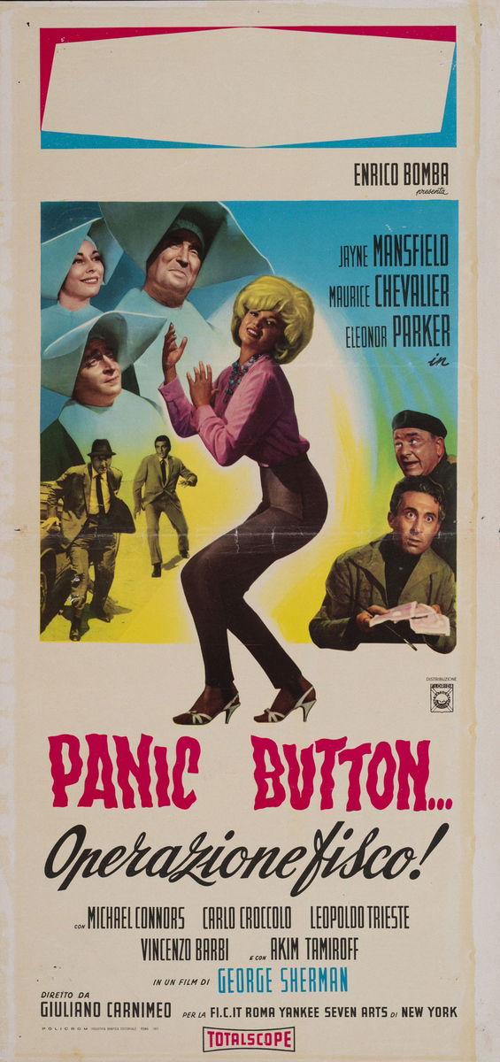 Panic button... Operazione fisco - Locandina 1