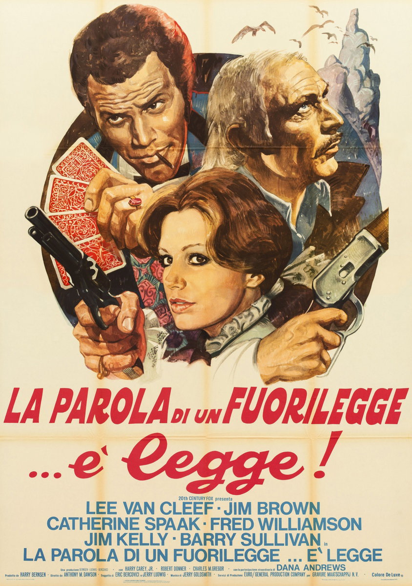 Poster 2 for the film Take a Hard Ride (1975)