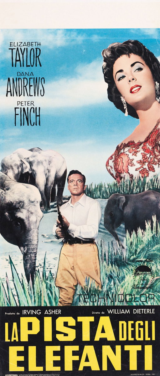 Locandina 3 per il film La pista degli elefanti (1954)
