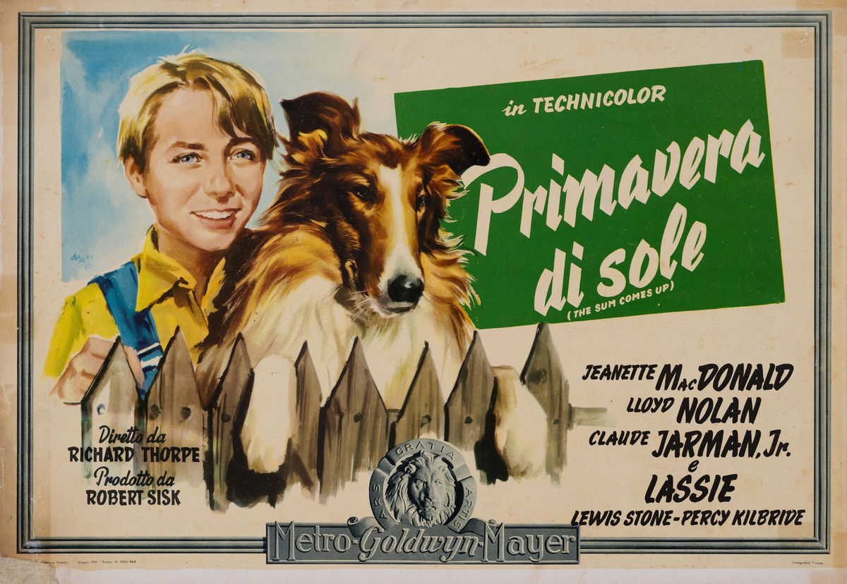 Primavera di sole - Fotobusta 1