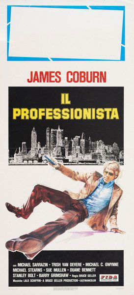 Il professionista