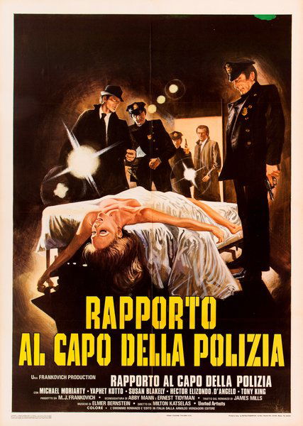 Rapporto al capo della polizia