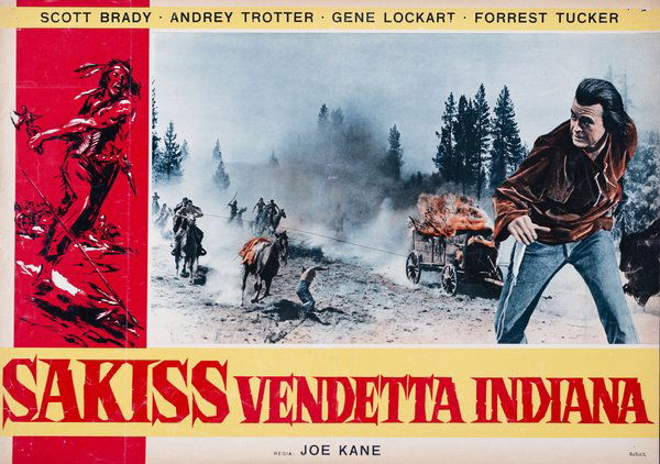 The Vanishing American