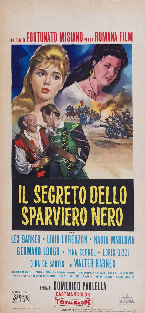 Il segreto dello sparviero nero - Locandina 1