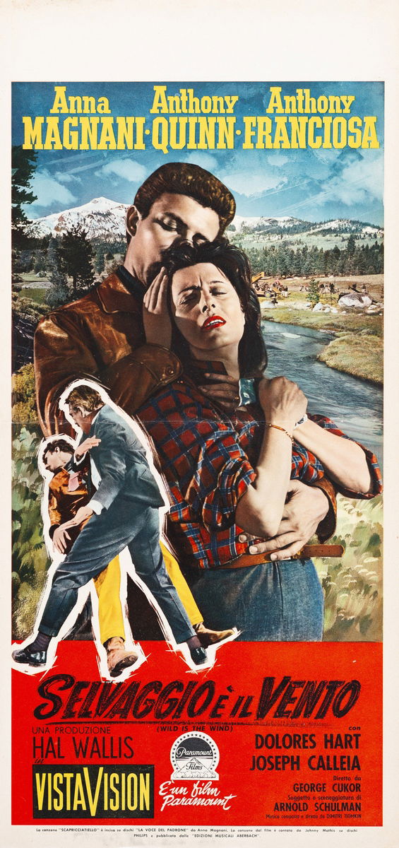 Selvaggio è il vento - Locandina 1