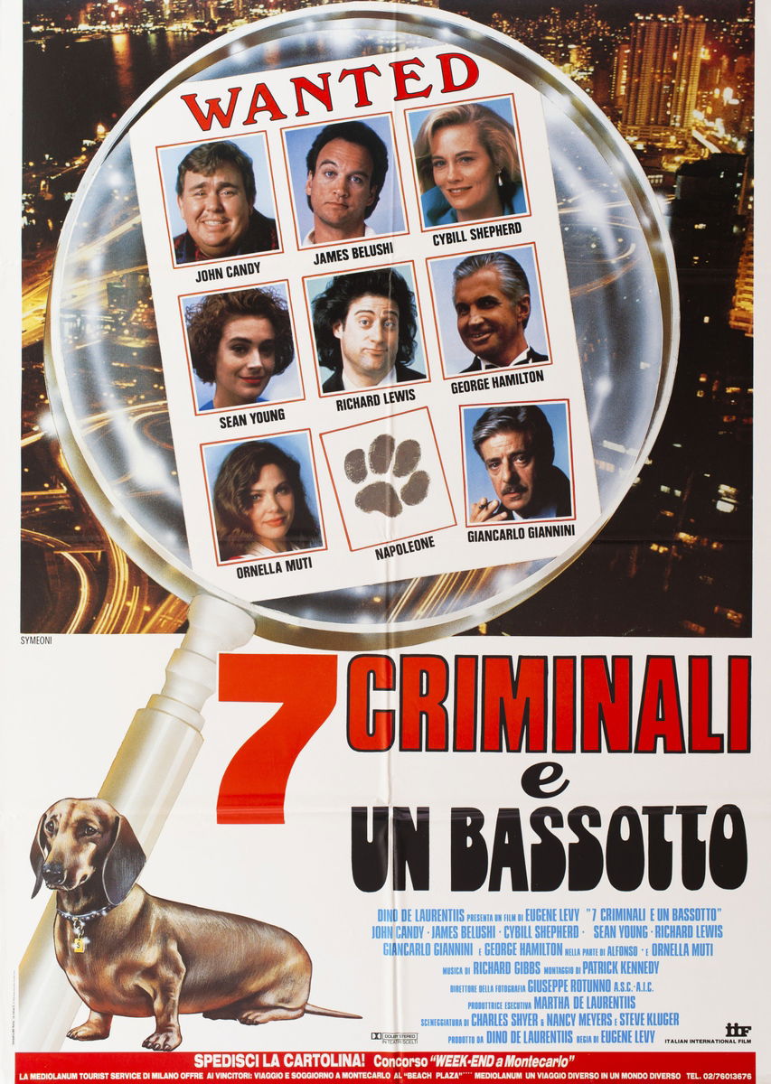 7 criminali e un bassotto - Manifesto 1