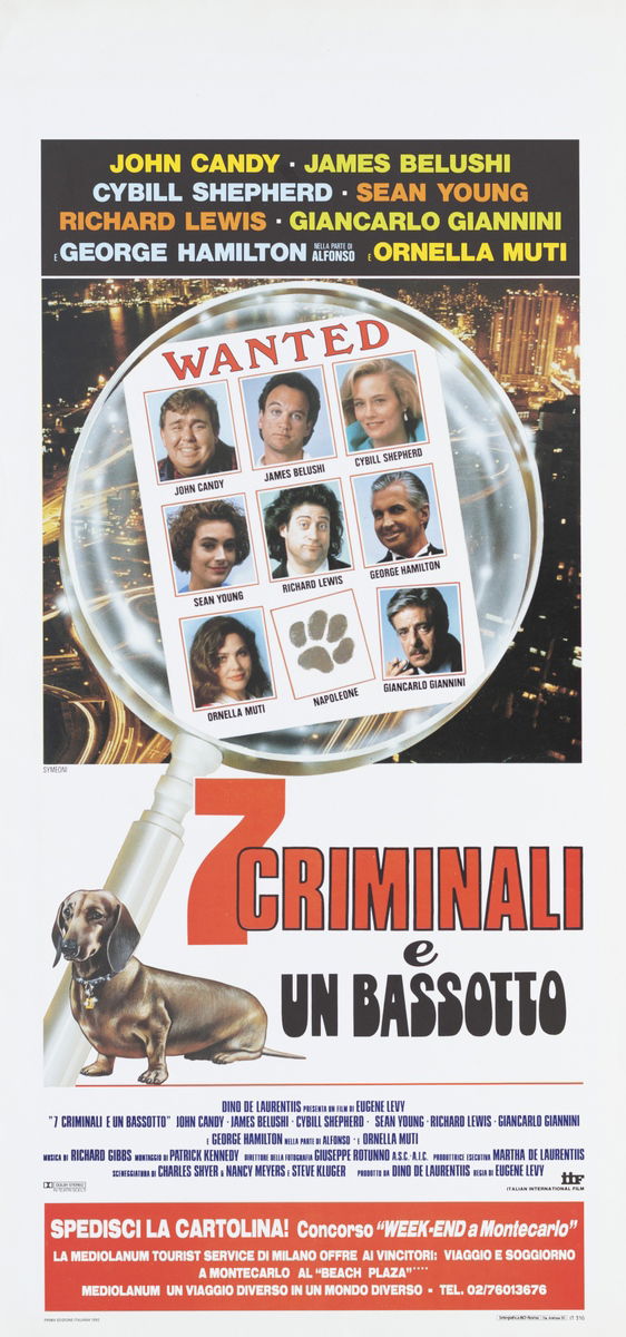 7 criminali e un bassotto - Locandina 1