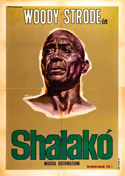 Un uomo chiamato Shalako