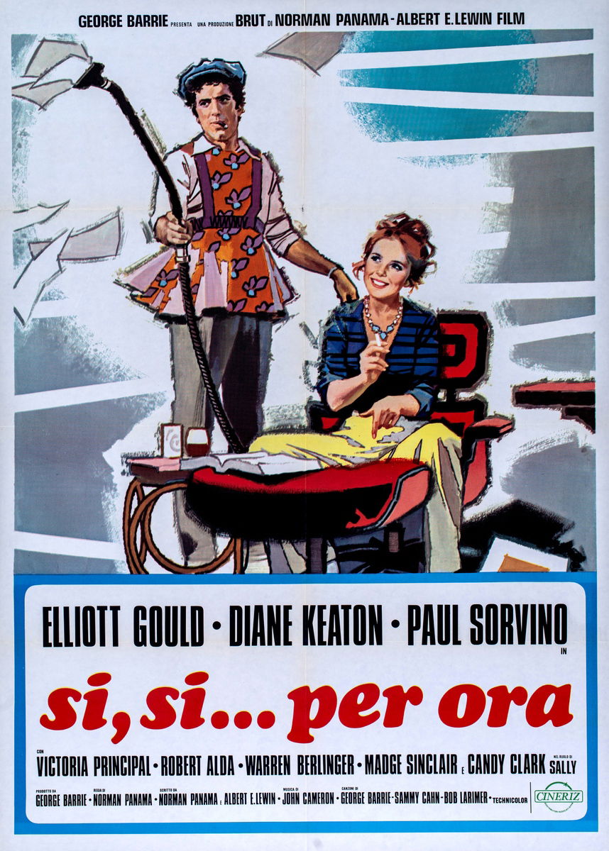 I Will, I Will...For Now - Poster 1