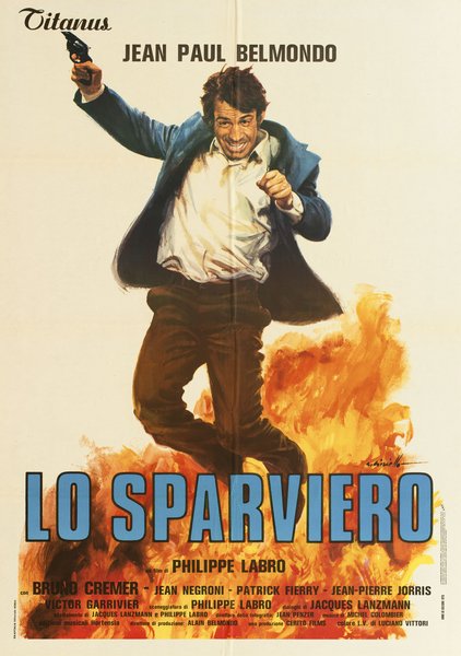 Lo sparviero