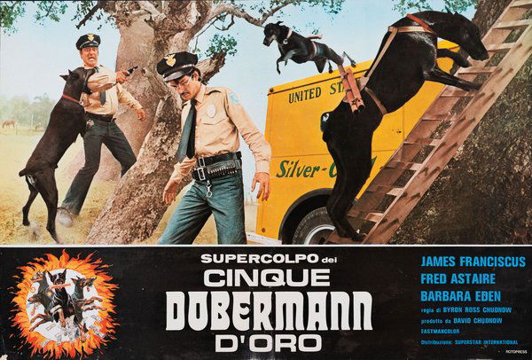 Supercolpo dei cinque dobermann d'oro