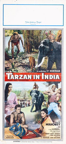 Tarzan Goes to India
