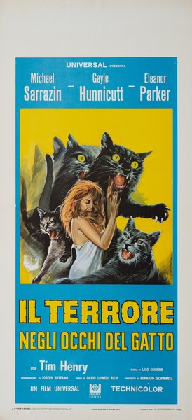 Il terrore negli occhi del gatto