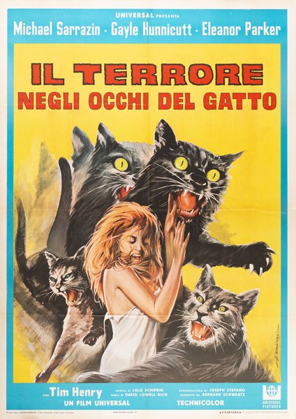 Il terrore negli occhi del gatto