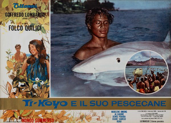 Ti-Koyo e il suo pescecane