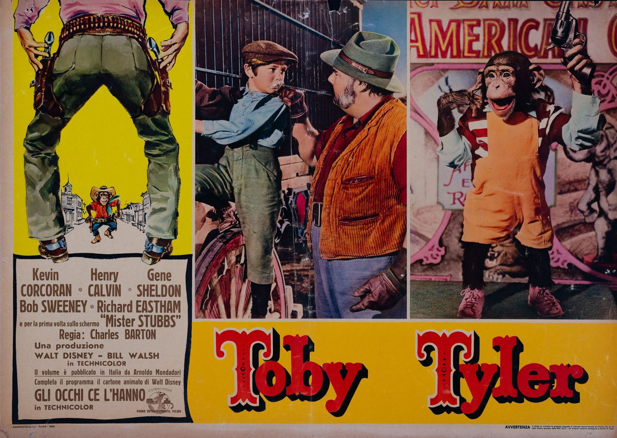 Toby Tyler - Fotobusta 1