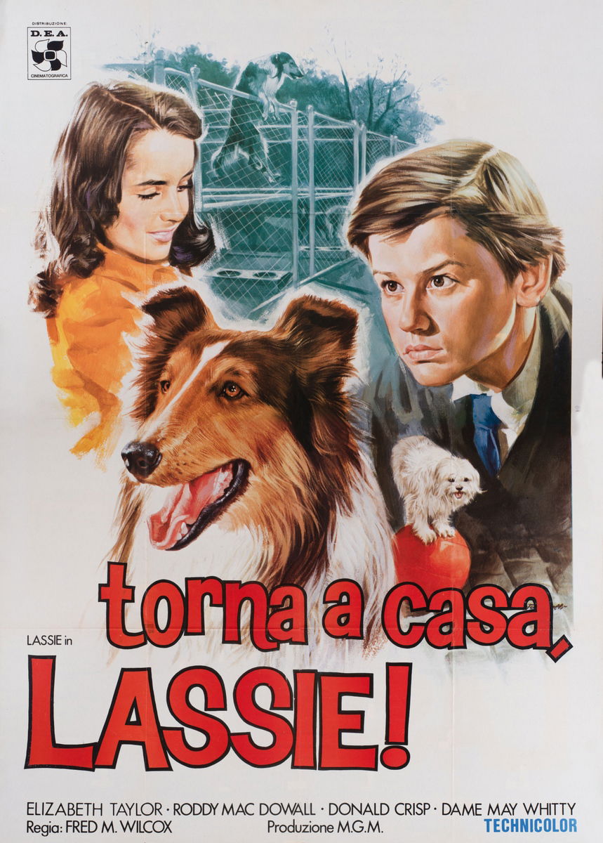 Torna a casa Lassie! - Manifesto 1