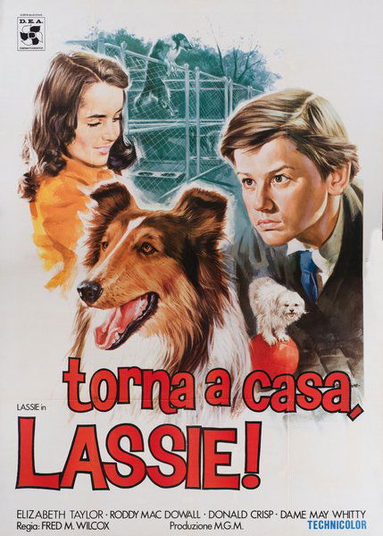 Torna a casa Lassie!