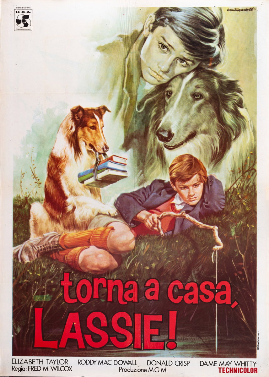 Manifesto 2 per il film Torna a casa Lassie! (1943), dipinto da Ezio Tarantelli