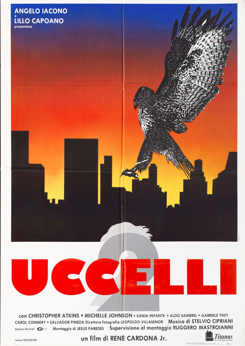 Birds of Prey - Poster 1