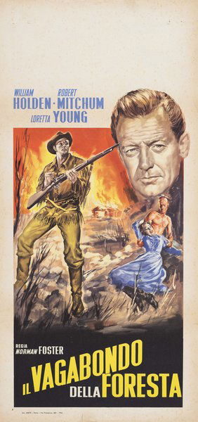 Il vagabondo della foresta