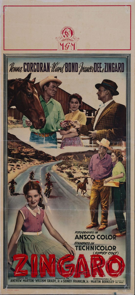 Zingaro - Locandina 1