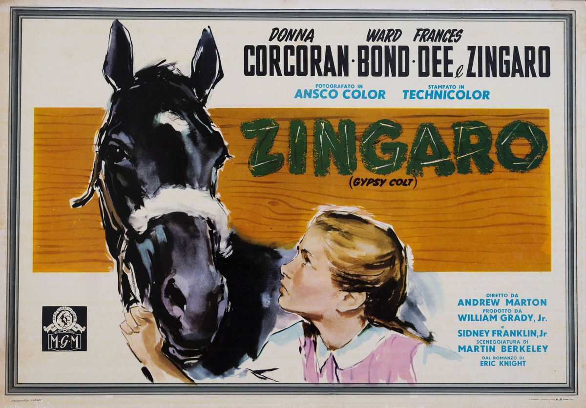 Zingaro - Fotobusta 1