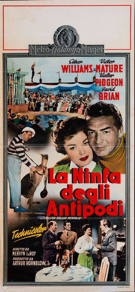 La ninfa degli antipodi