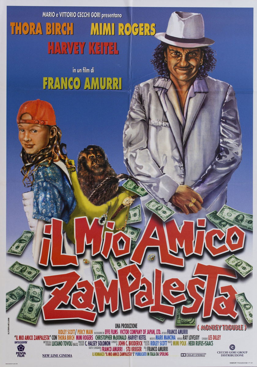 Il mio amico zampalesta - Manifesto 1