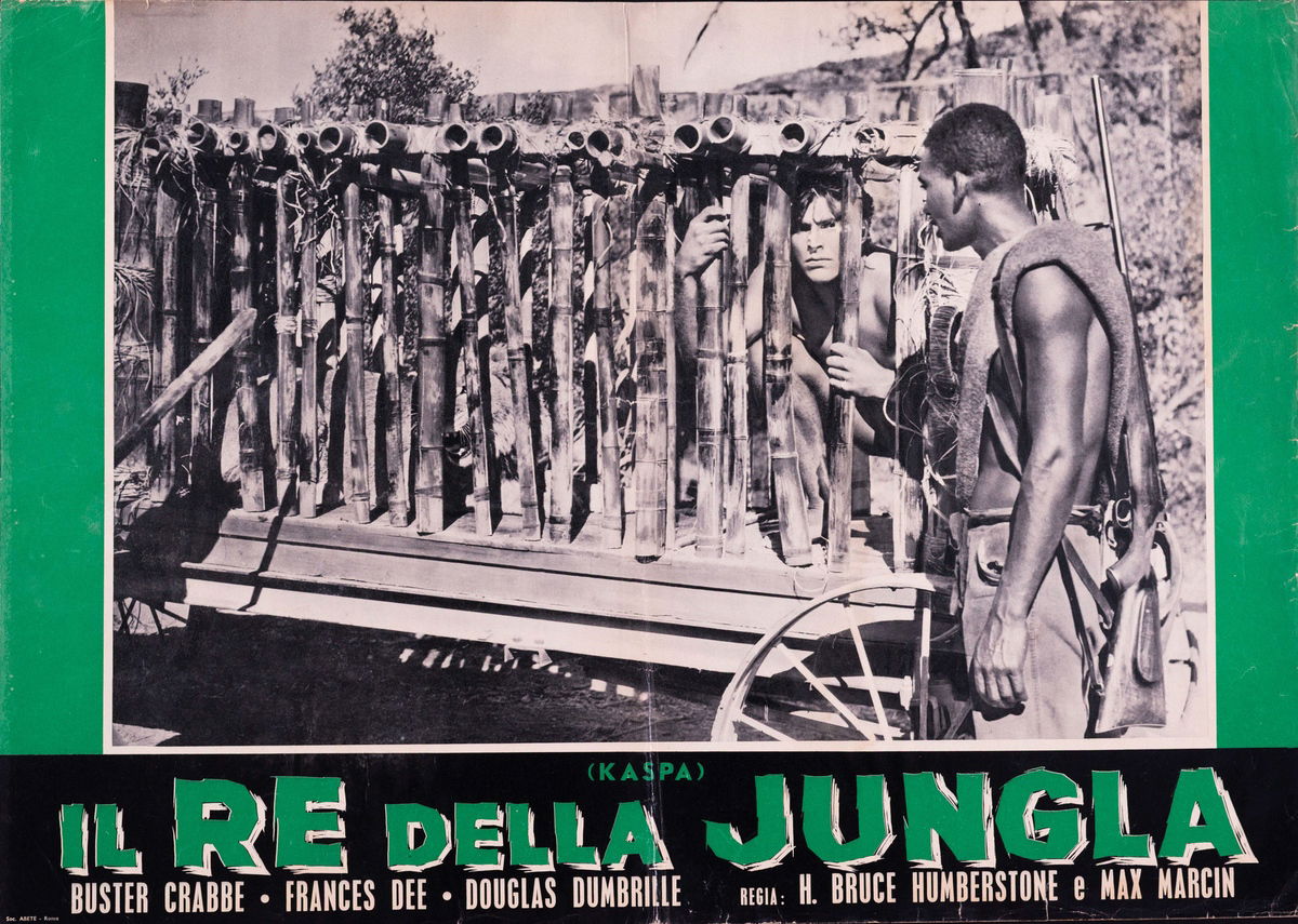 King of the Jungle - Fotobusta 1