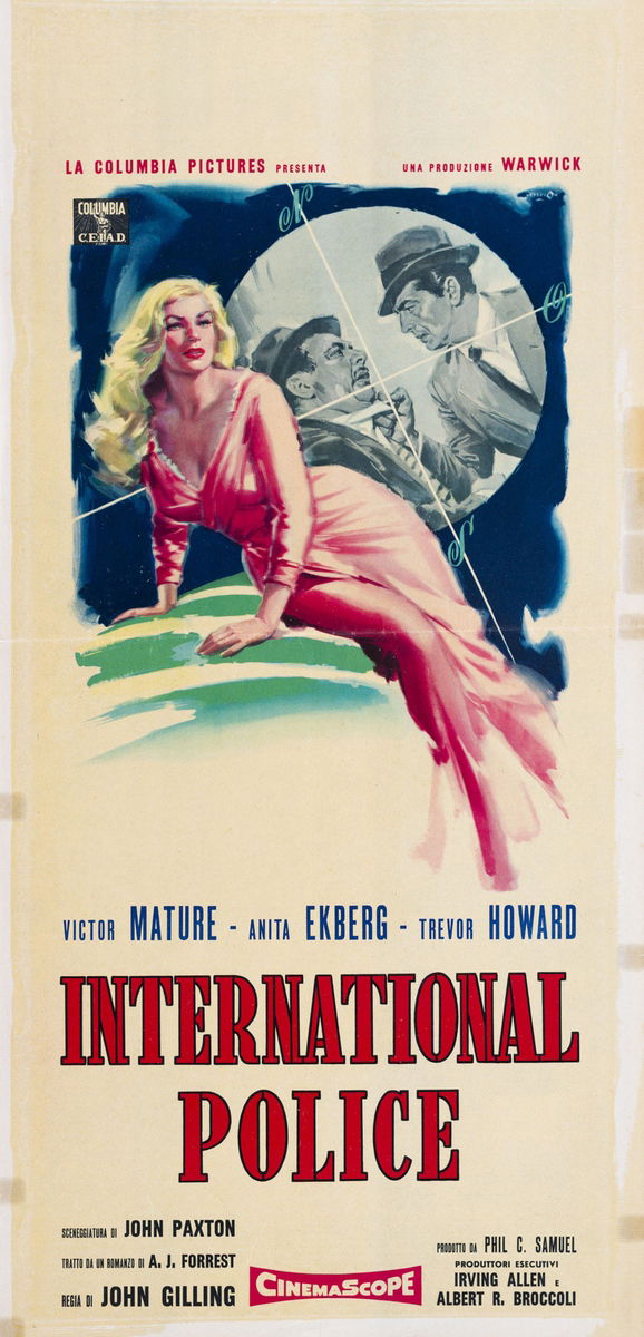 International police - Locandina 1