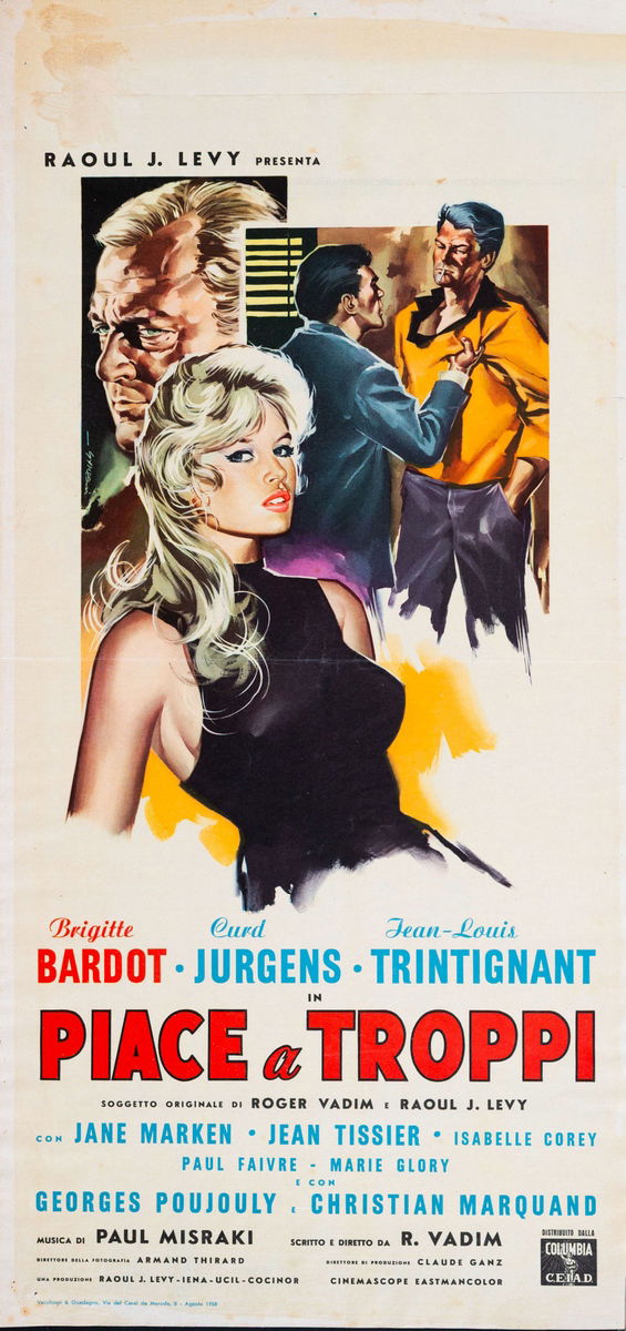 Piace a troppi - Locandina 1