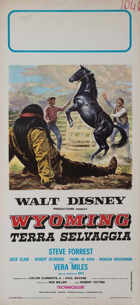 Wyoming, terra selvaggia