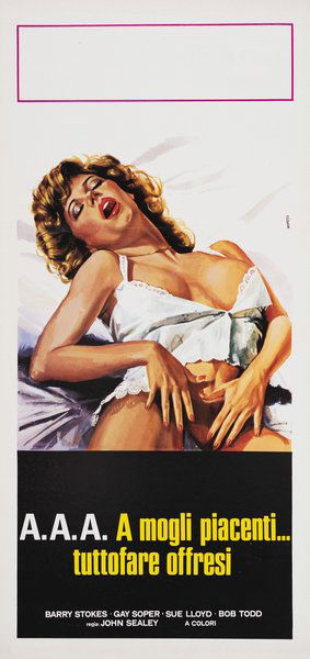 The Ups and Downs of a Handyman