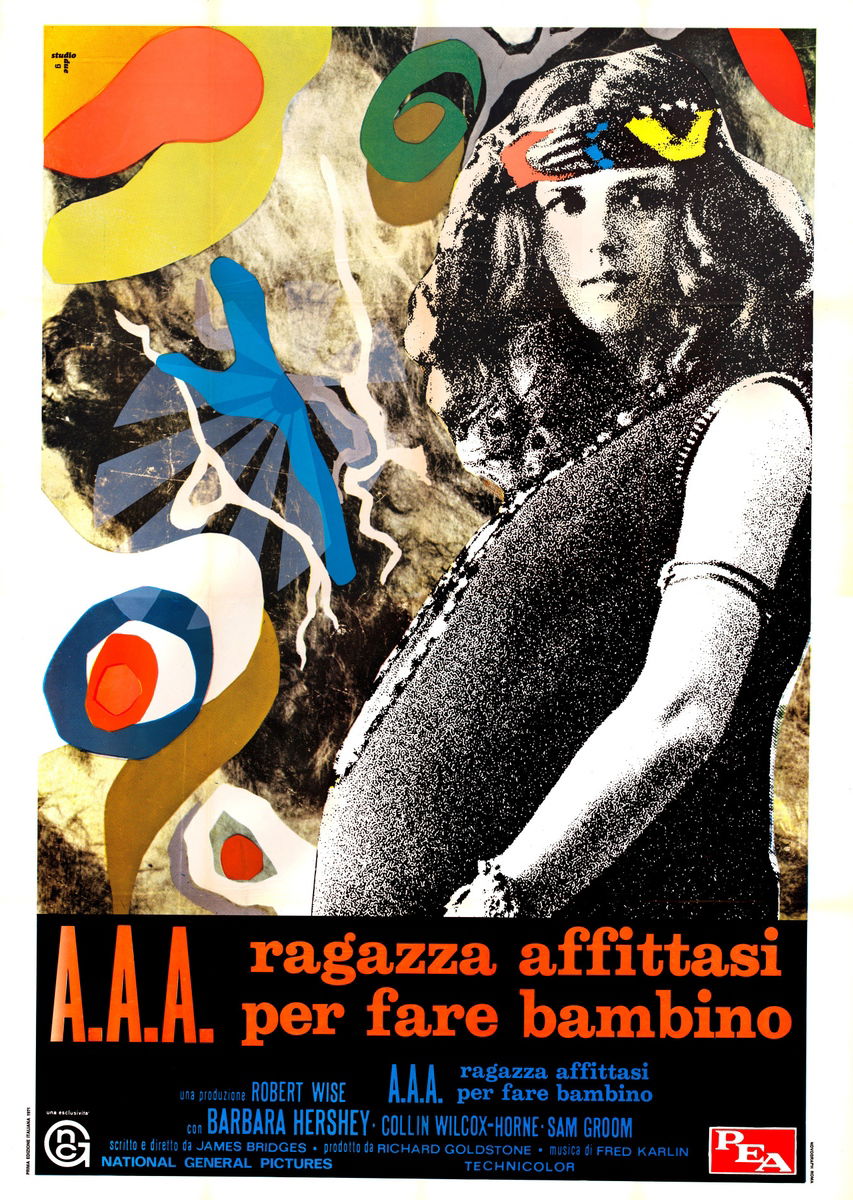 A.A.A. Ragazza affittasi per fare bambino - Manifesto 1