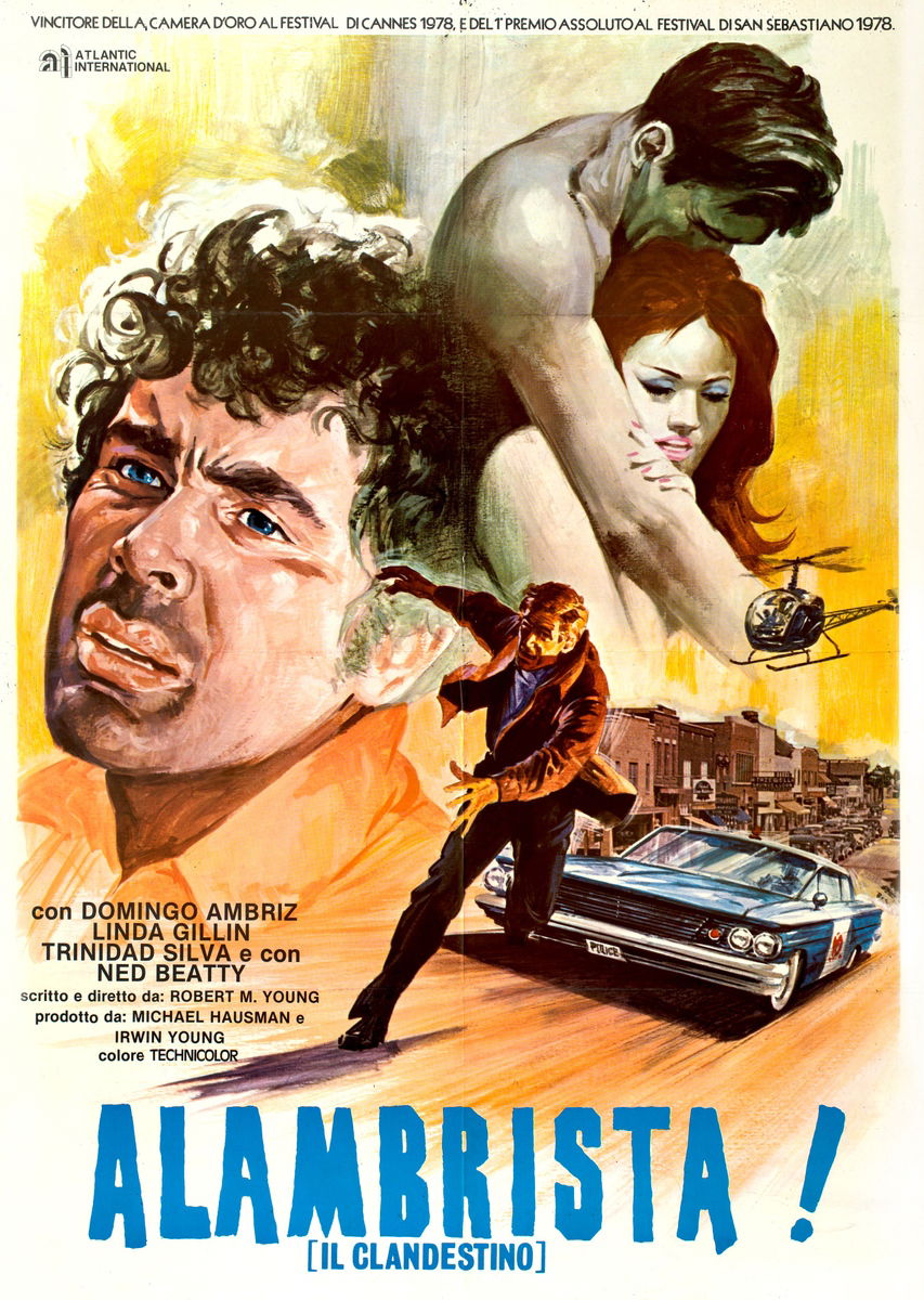 Alambrista! - Poster 1