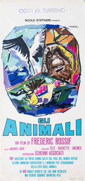 Gli animali