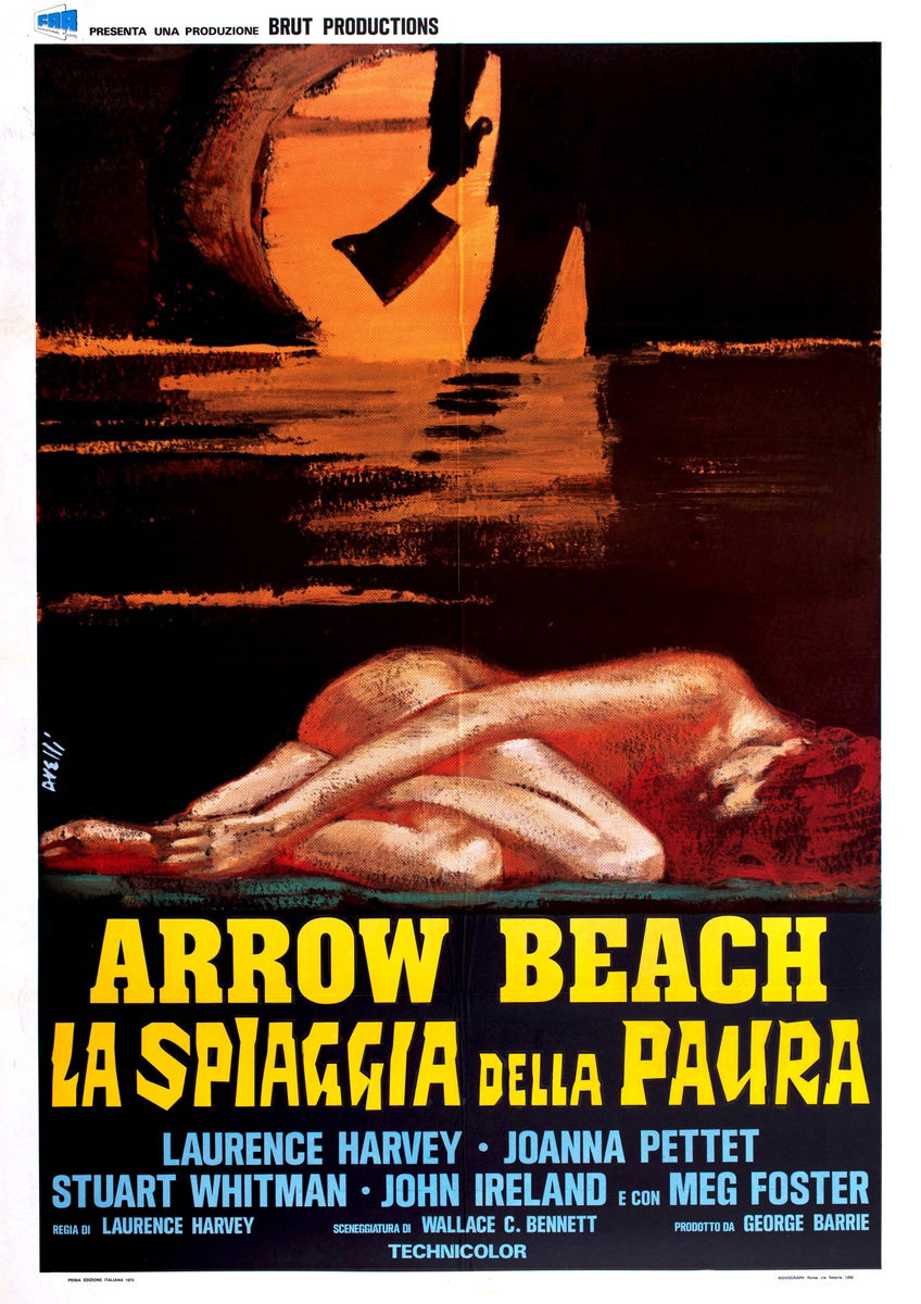 Arrow Beach: la spiaggia della paura - Manifesto 1