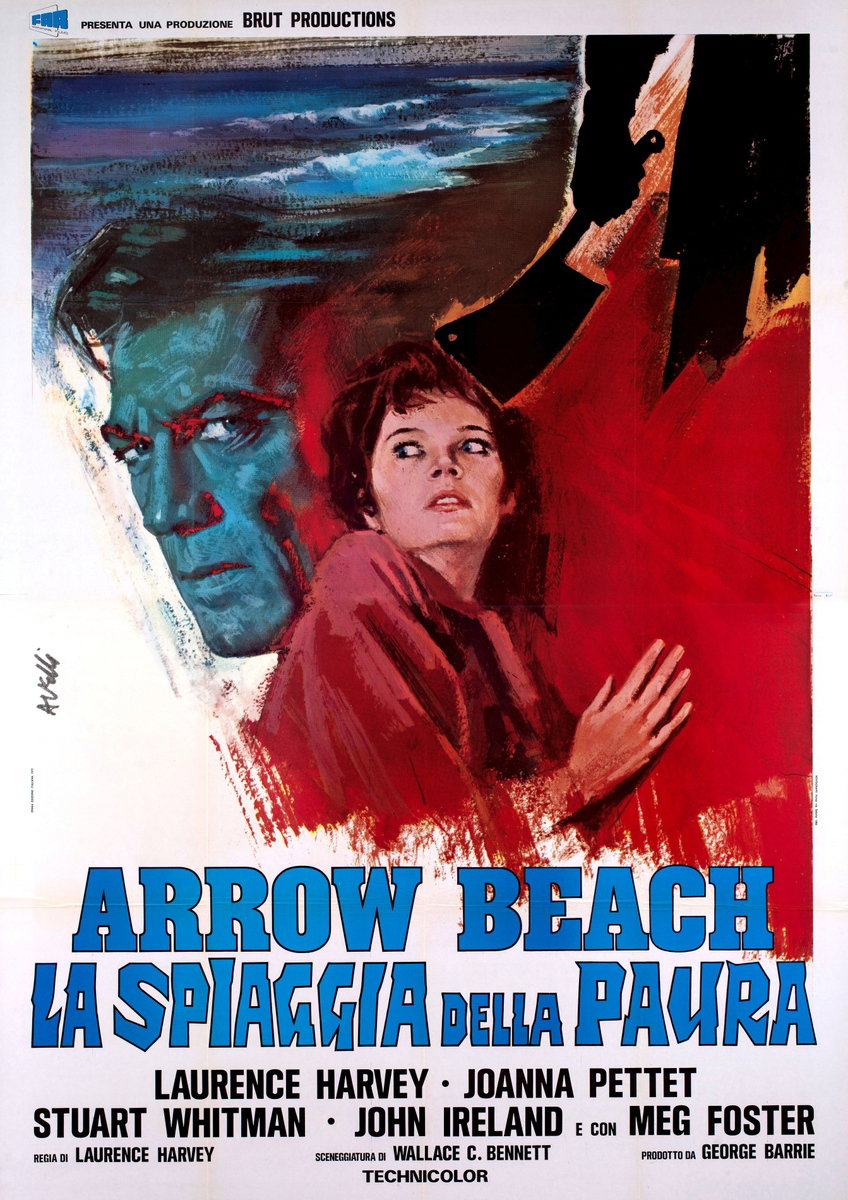 Poster 2 for the film Welcome to Arrow Beach (1974), painted by Agatino Avelli