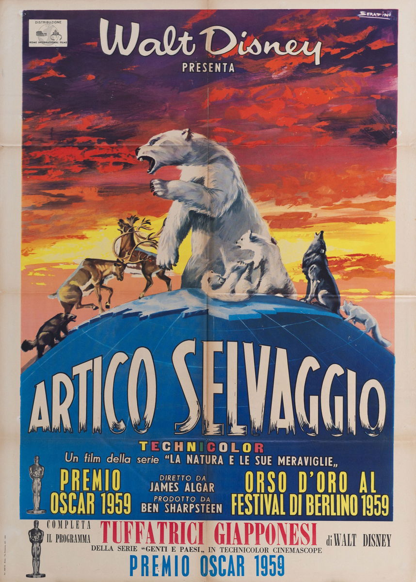 Artico selvaggio - Manifesto 1