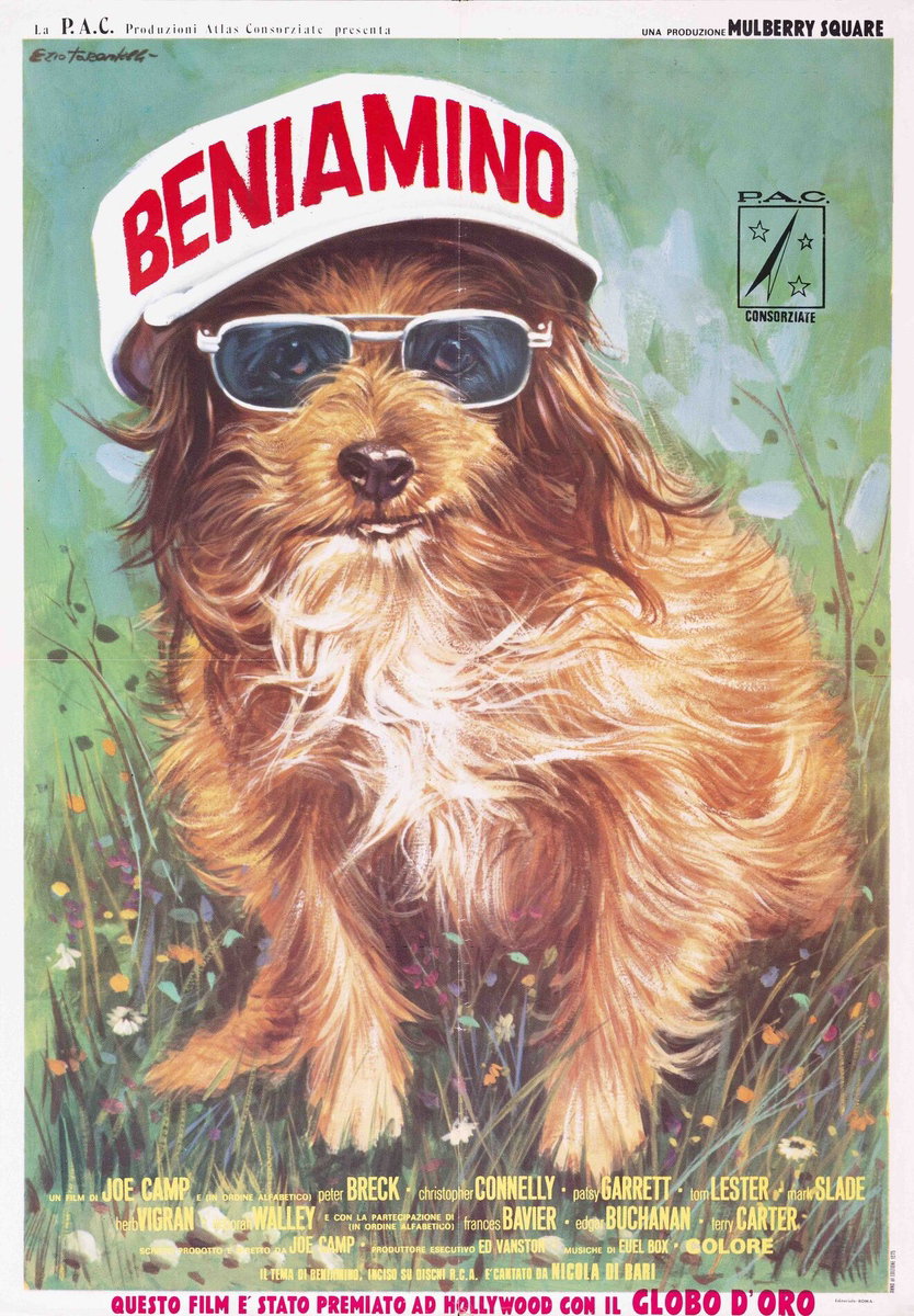 Poster 2 for the film Benji (1974)