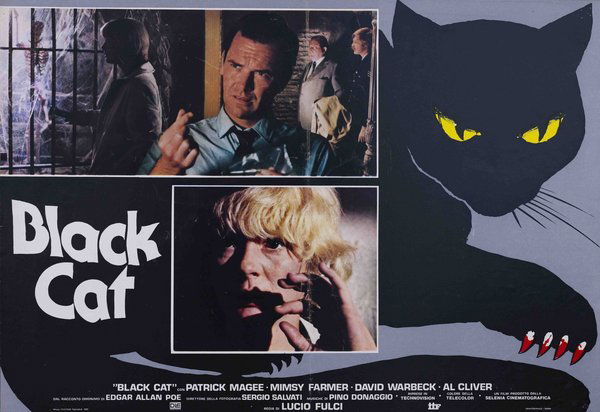 Black Cat: Gatto nero