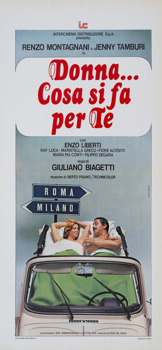 Donna... cosa si fa per te - Locandina 1