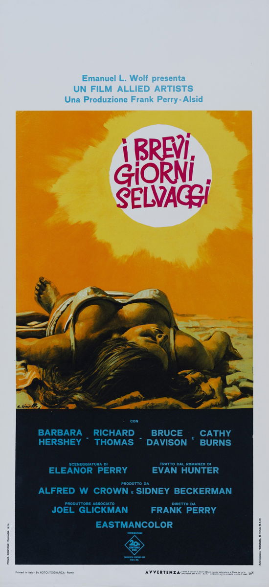 I brevi giorni selvaggi - Locandina 1
