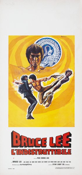 Bruce Lee l'indistruttibile